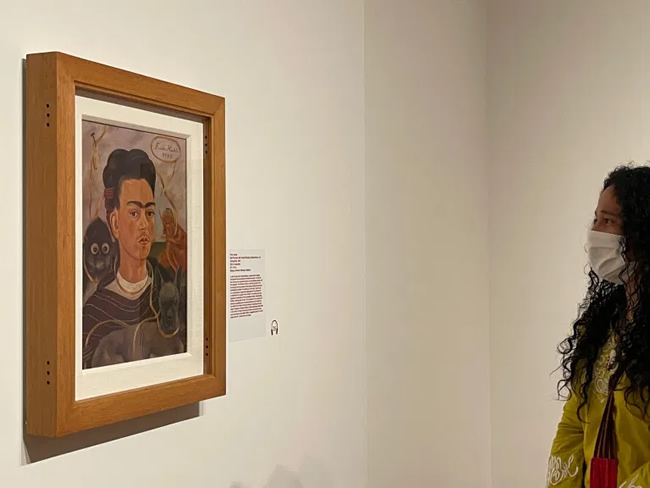 La Inmensidad de Frida Kahlo lo Abarca e Ilumina Todo  