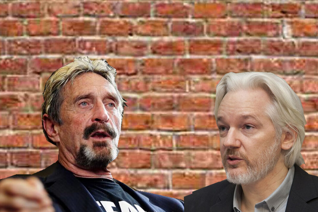Edward Snowden por Muerte de John McAfee: «El Próximo Puede Ser Assange»