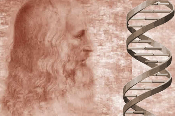 En busca del ADN de Leonardo da Vinci