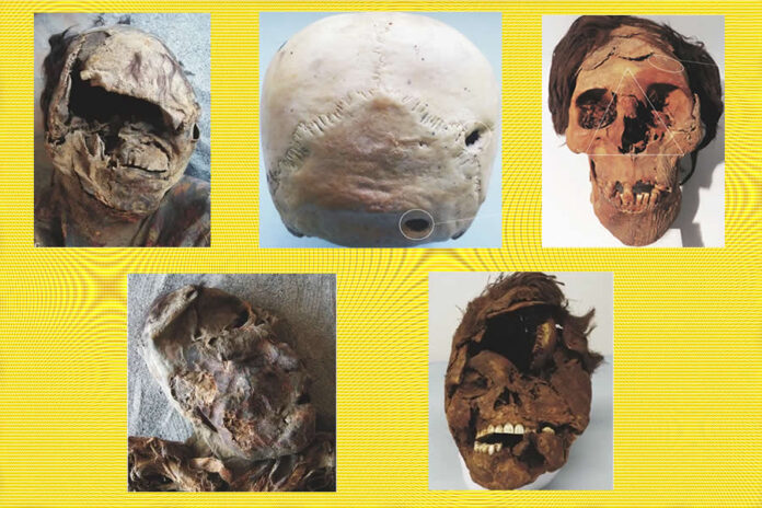 Estudio de la Universidad de Tarapacá Documenta Lucha de Clases en el Neolítico