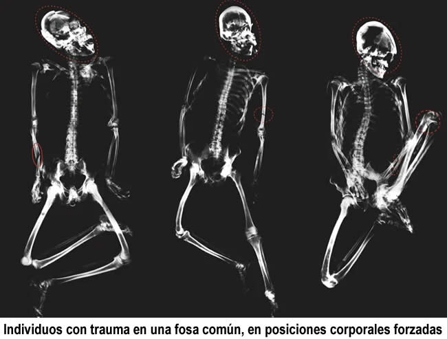 Estudio de la Universidad de Tarapacá Documenta Lucha de Clases en el Neolítico