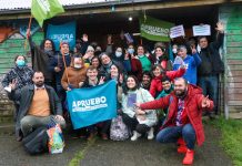 ¿Alguna Duda sobre la Nueva Constitución?: Stingo Responde