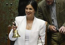 Significado y Proyecciones del Triunfo de Karol Cariola en la Cámara de Diputados Significado y Proyecciones del Triunfo de Karol Cariola en la Cámara de Diputados