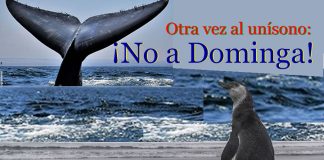 Otra Vez Dominga: Hoy Más que Nunca ¡No a Dominga! Otra Vez Dominga: Hoy Más que Nunca ¡No a Dominga!