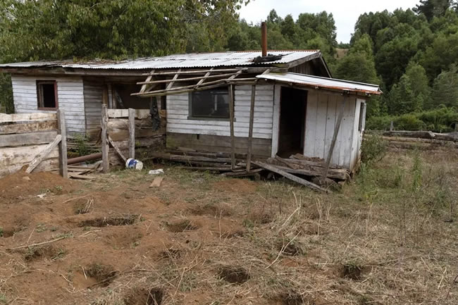 Desaparición de Julia Chuñil: La Irreparable Deuda de la Justicia y el Estado