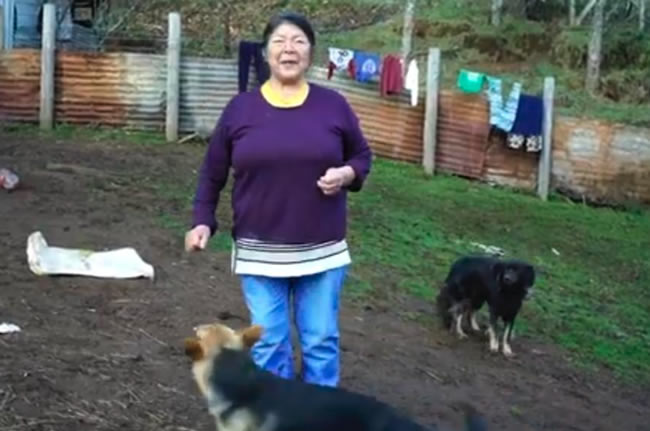 Desaparición de Julia Chuñil: La Irreparable Deuda de la Justicia y el Estado