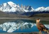 Biodiversidad, una palabra incómoda