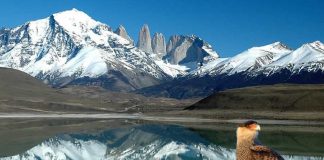 Biodiversidad: Una Palabra Incómoda Biodiversidad, una palabra incómoda