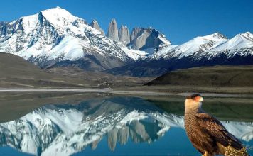 Biodiversidad: Una Palabra Incómoda Biodiversidad, una palabra incómoda