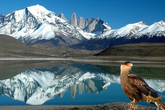 Biodiversidad, una palabra incómoda